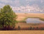 Naturreservat Torbiere del Sebino